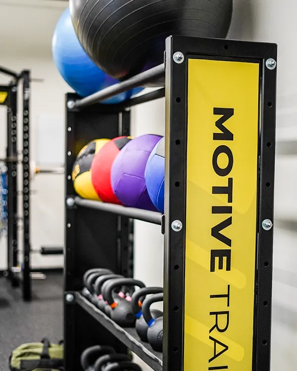 Motive Training Weights